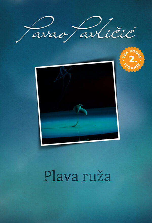 Plava ruža - Slika 1